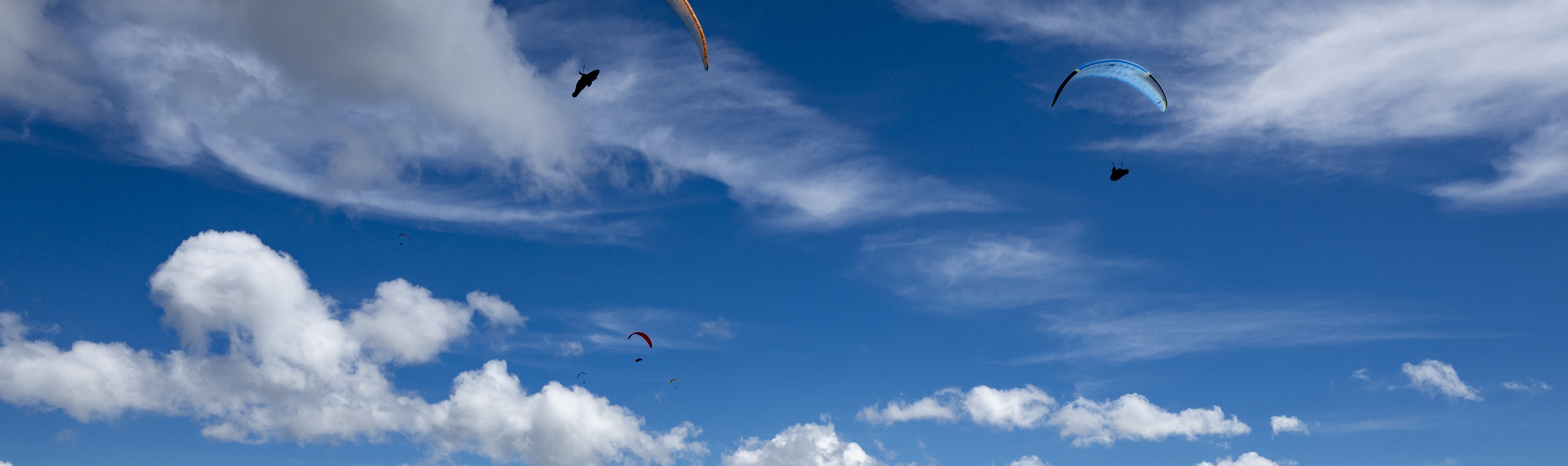 banner3