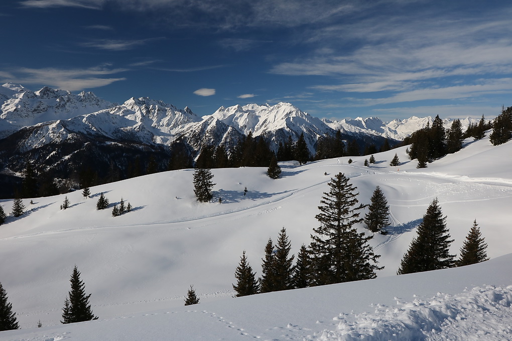 Cari Landscape